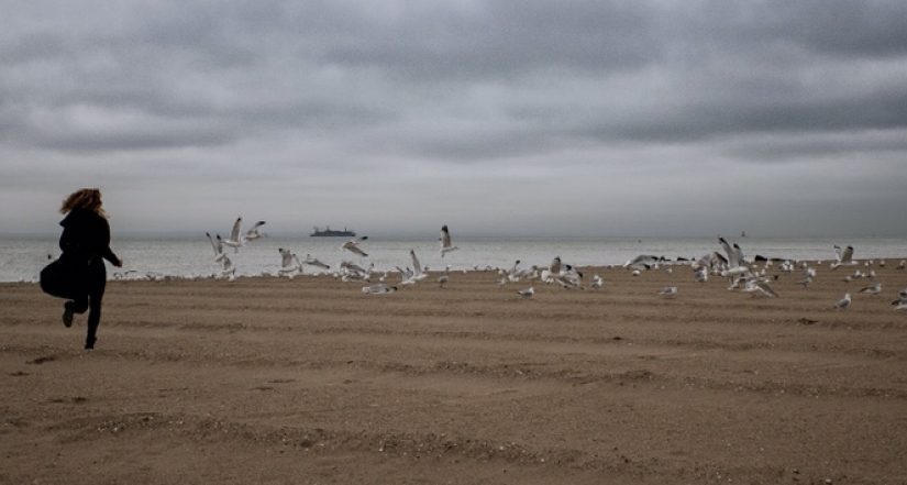 Day 25. Independence