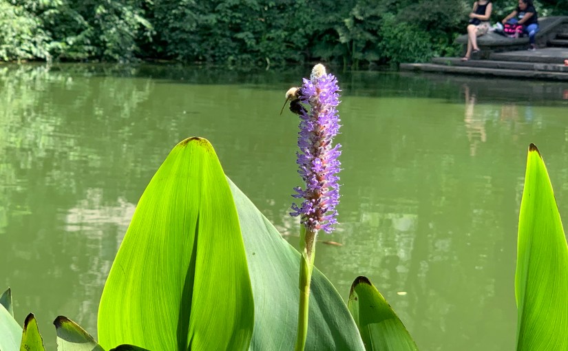 How to Gain&nbsp;Perspective