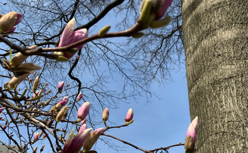 Day 19. It’s the simple&nbsp;things.