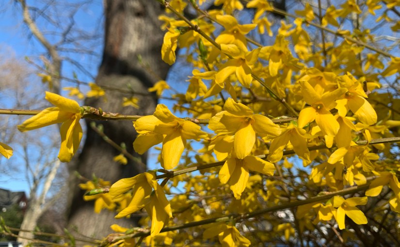 Day 0. Soup For the&nbsp;Soul