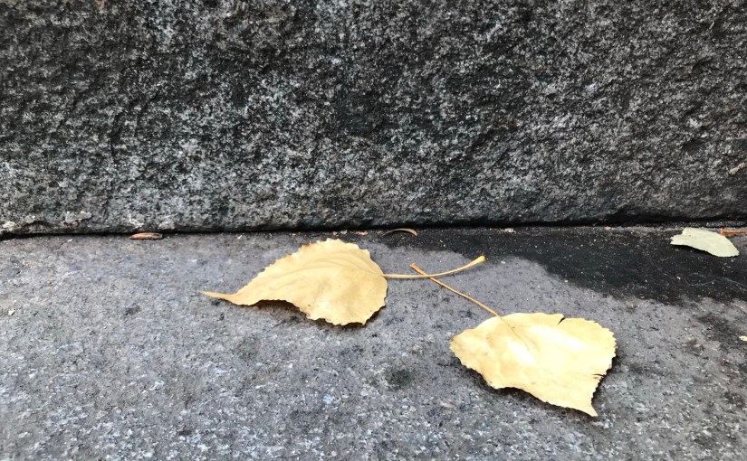 Day 16. Closeness and&nbsp;Distance