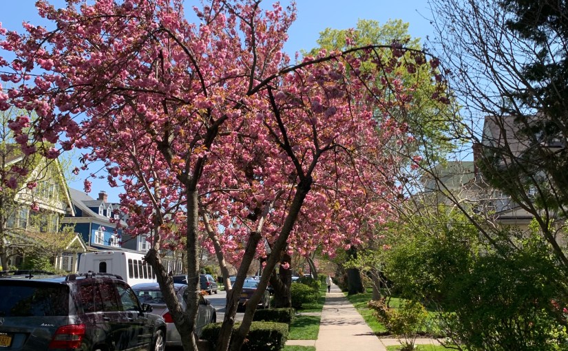 Easter at a&nbsp;distance